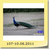 107-10.06.2011
