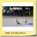 149-10.06.2011