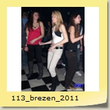 113_brezen_2011