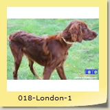018-London-1