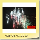 029-01.01.2013