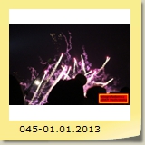 045-01.01.2013