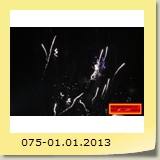 075-01.01.2013
