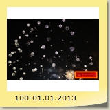 100-01.01.2013