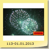 113-01.01.2013