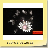 120-01.01.2013