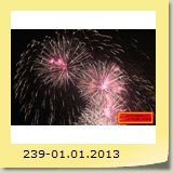 239-01.01.2013