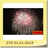 273-01.01.2013
