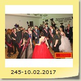 245-10.02.2017
